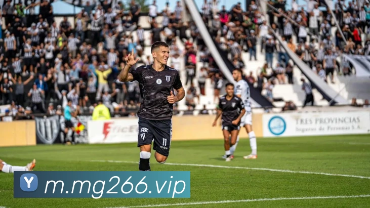 MG娱乐平台官网平台生态图